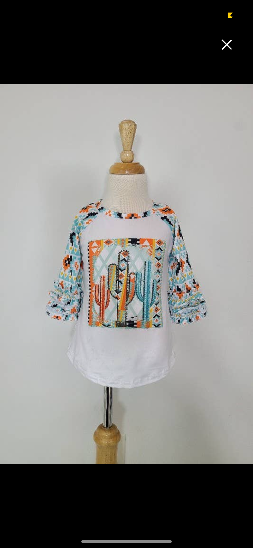 Aztec Cactus Raglan
